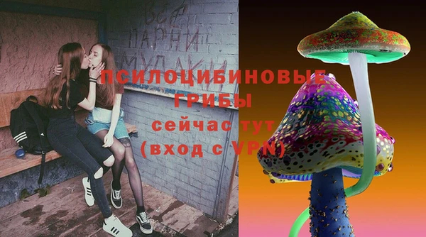 гашиш Няндома